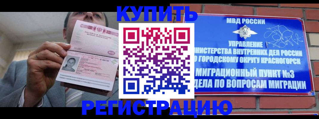 прописка в Ельне